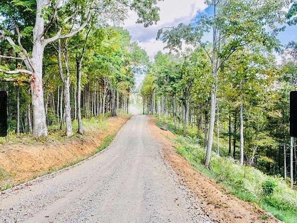 2.74 Acres of Residential Land for Sale in Butler, Tennessee