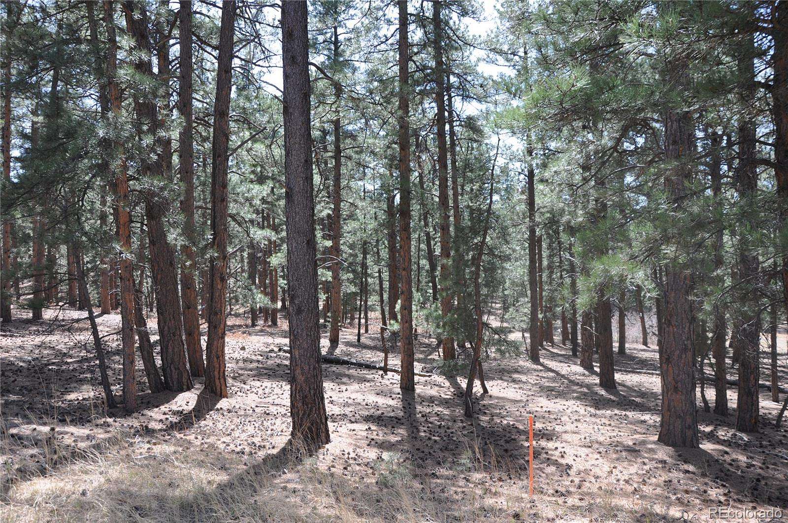 0.5 Acres of Land for Sale in Larkspur, Colorado