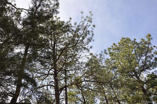 0.5 Acres of Land for Sale in Larkspur, Colorado