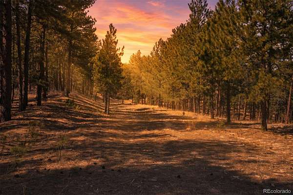 0.5 Acres of Land for Sale in Larkspur, Colorado