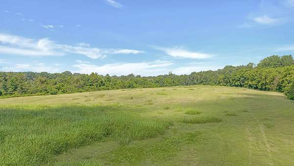 41 Acres of Land for Sale in Henagar, Alabama