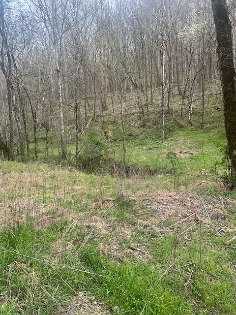 56.5 Acres of Agricultural Land for Sale in Elmwood, Tennessee