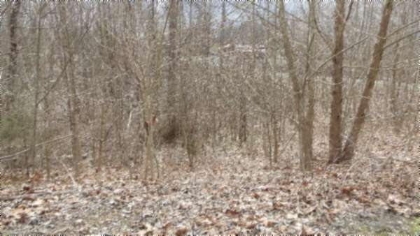 5.5 Acres of Residential Land for Sale in Gainesboro, Tennessee
