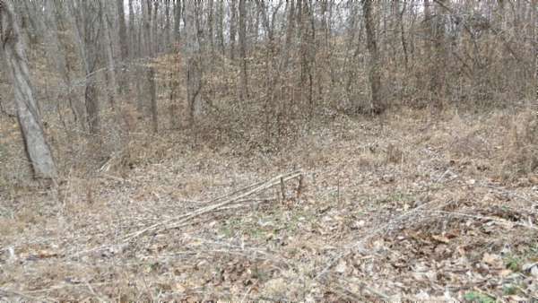 5.5 Acres of Residential Land for Sale in Gainesboro, Tennessee