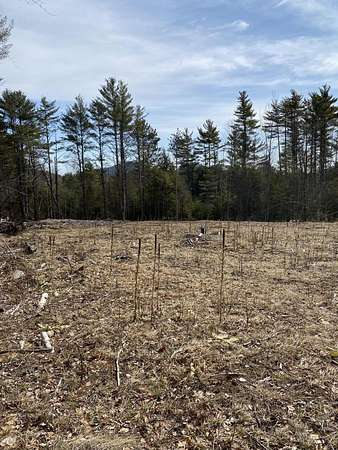 6.56 Acres of Residential Land for Sale in Lewis, New York