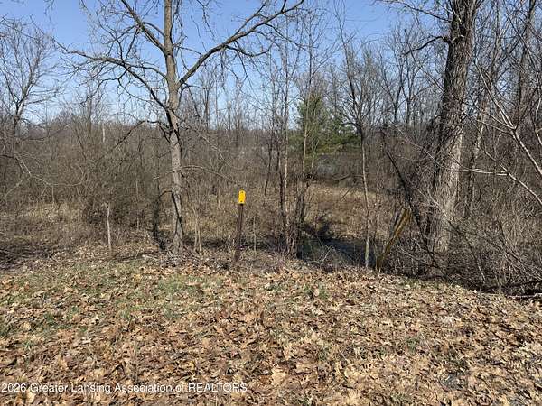 0.51 Acres of Residential Land for Sale in Laingsburg, Michigan