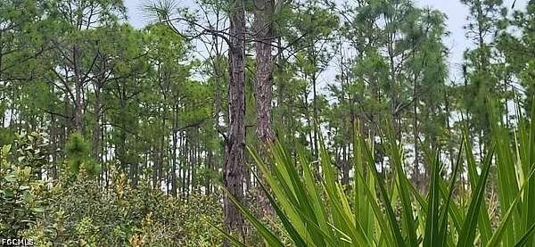 0.13 Acres of Residential Land for Sale in Punta Gorda, Florida