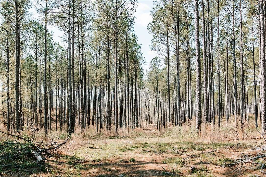 111 Acres of Recreational Land for Sale in Lexington, Georgia