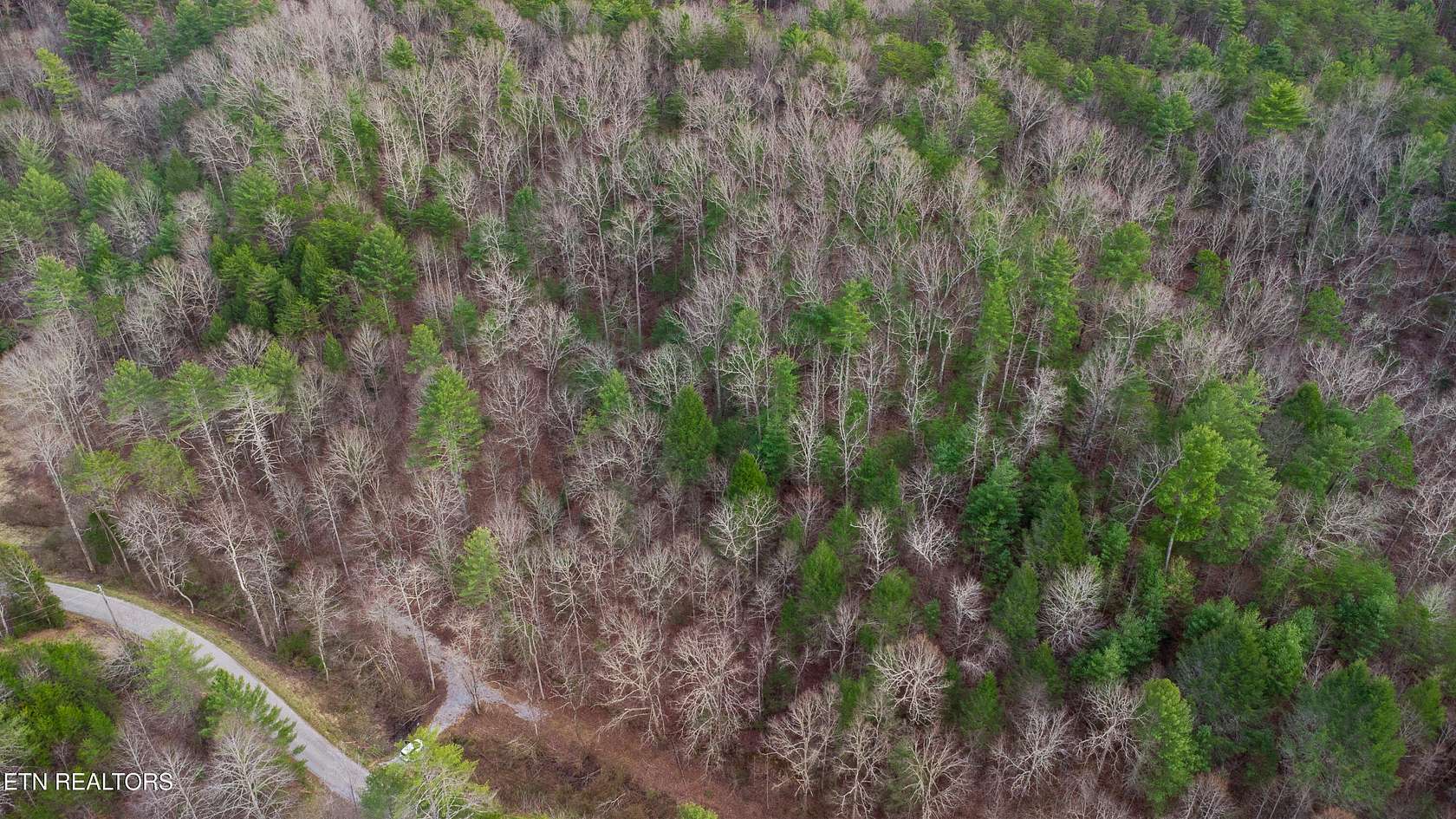 6.52 Acres of Residential Land for Sale in Reliance, Tennessee