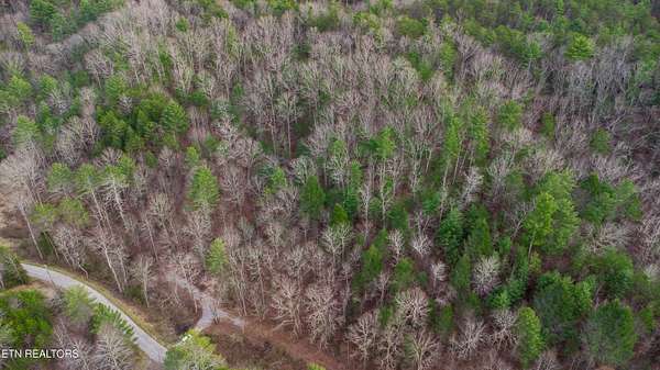 6.52 Acres of Residential Land for Sale in Reliance, Tennessee