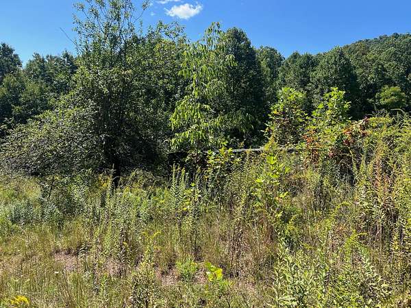 265 Acres of Land with Home for Sale in Alderson, West Virginia