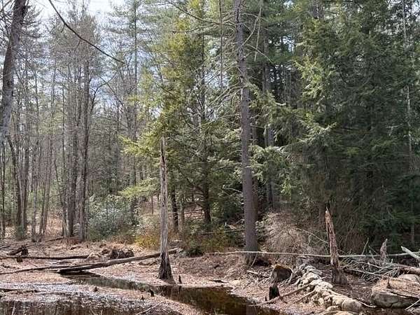 17.8 Acres of Recreational Land for Sale in Milford, New Hampshire