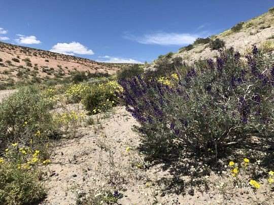 695 Acres of Land for Sale in Chalfant Valley, California