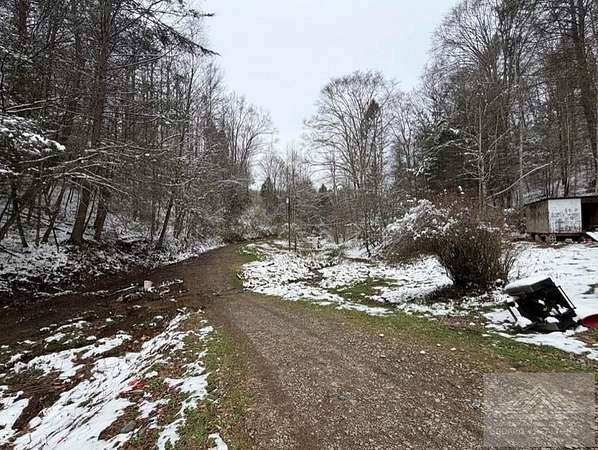 25.4 Acres of Recreational Land for Sale in Arnett, West Virginia
