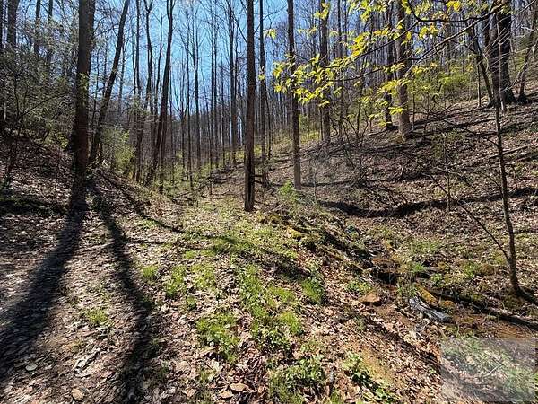 25.4 Acres of Recreational Land for Sale in Arnett, West Virginia
