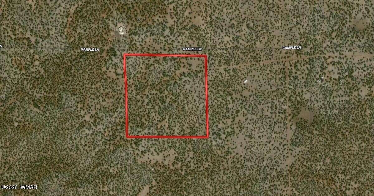 39.8 Acres of Recreational & Residential Land for Sale in Show Low, Arizona