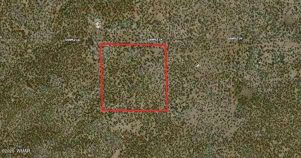 39.8 Acres of Recreational & Residential Land for Sale in Show Low, Arizona