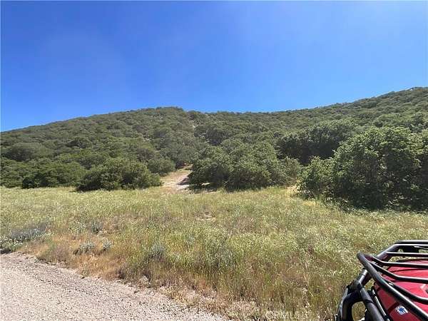 161 Acres of Land for Sale in Lockwood, California