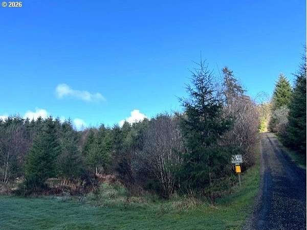 19.4 Acres of Land for Sale in Timber, Oregon