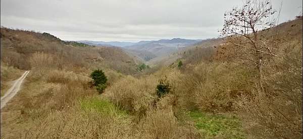 500 Acres of Recreational & Residential Land for Sale in Virgie, Kentucky