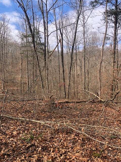 12.5 Acres of Land for Sale in Nunnelly, Tennessee