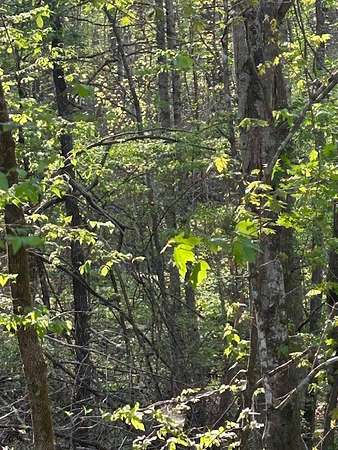 12.5 Acres of Land for Sale in Nunnelly, Tennessee