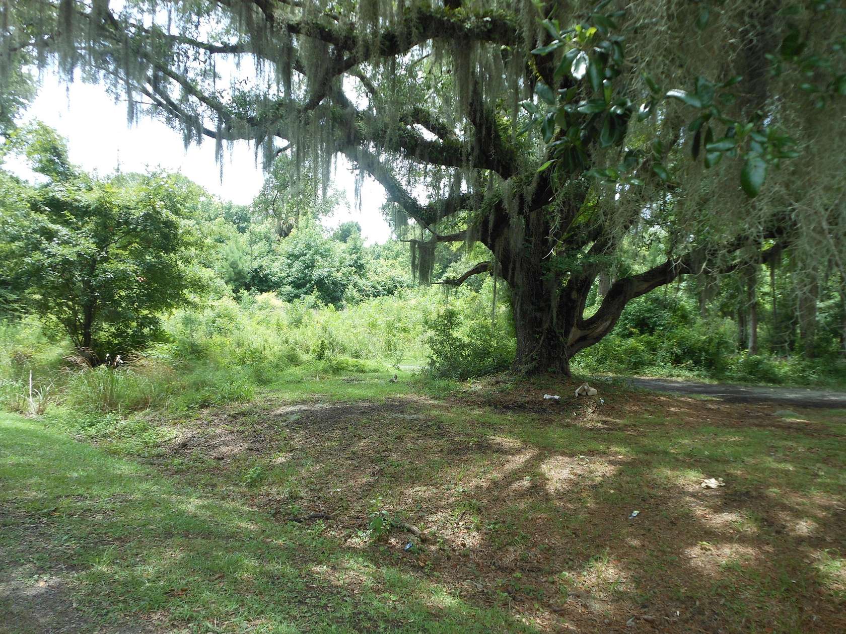 9 Acres of Residential Land for Sale in Edisto Island, South Carolina