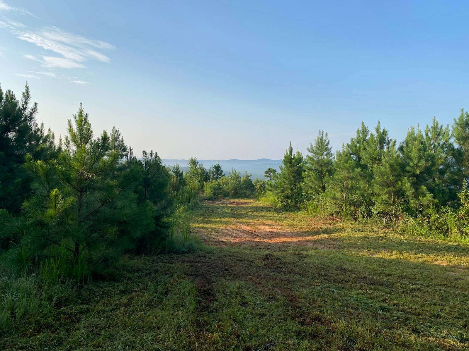 77 Acres of Recreational & Residential Land for Sale in Moores Bridge, Alabama
