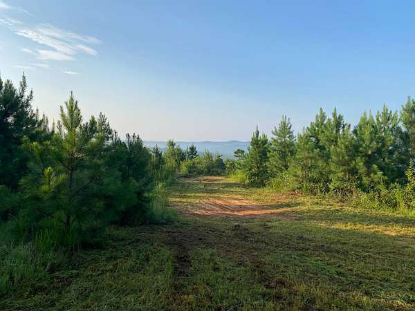 77 Acres of Recreational & Residential Land for Sale in Moores Bridge, Alabama