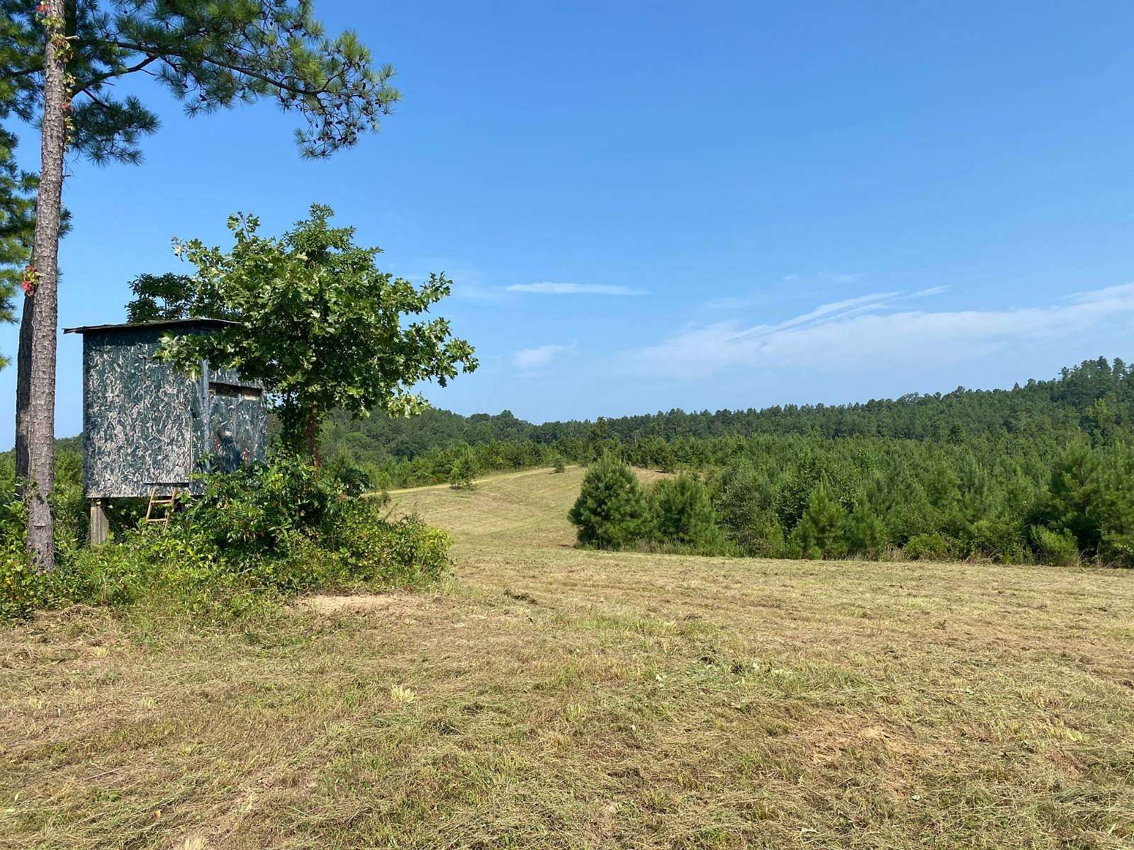 84.9 Acres of Recreational & Residential Land for Sale in Moores Bridge, Alabama