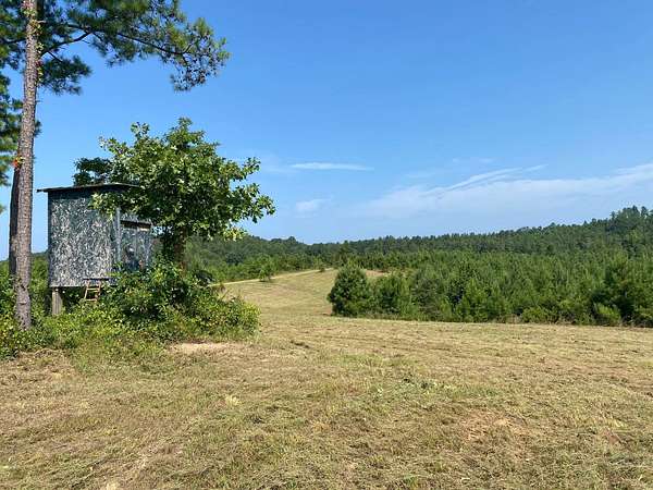 84.9 Acres of Recreational & Residential Land for Sale in Moores Bridge, Alabama