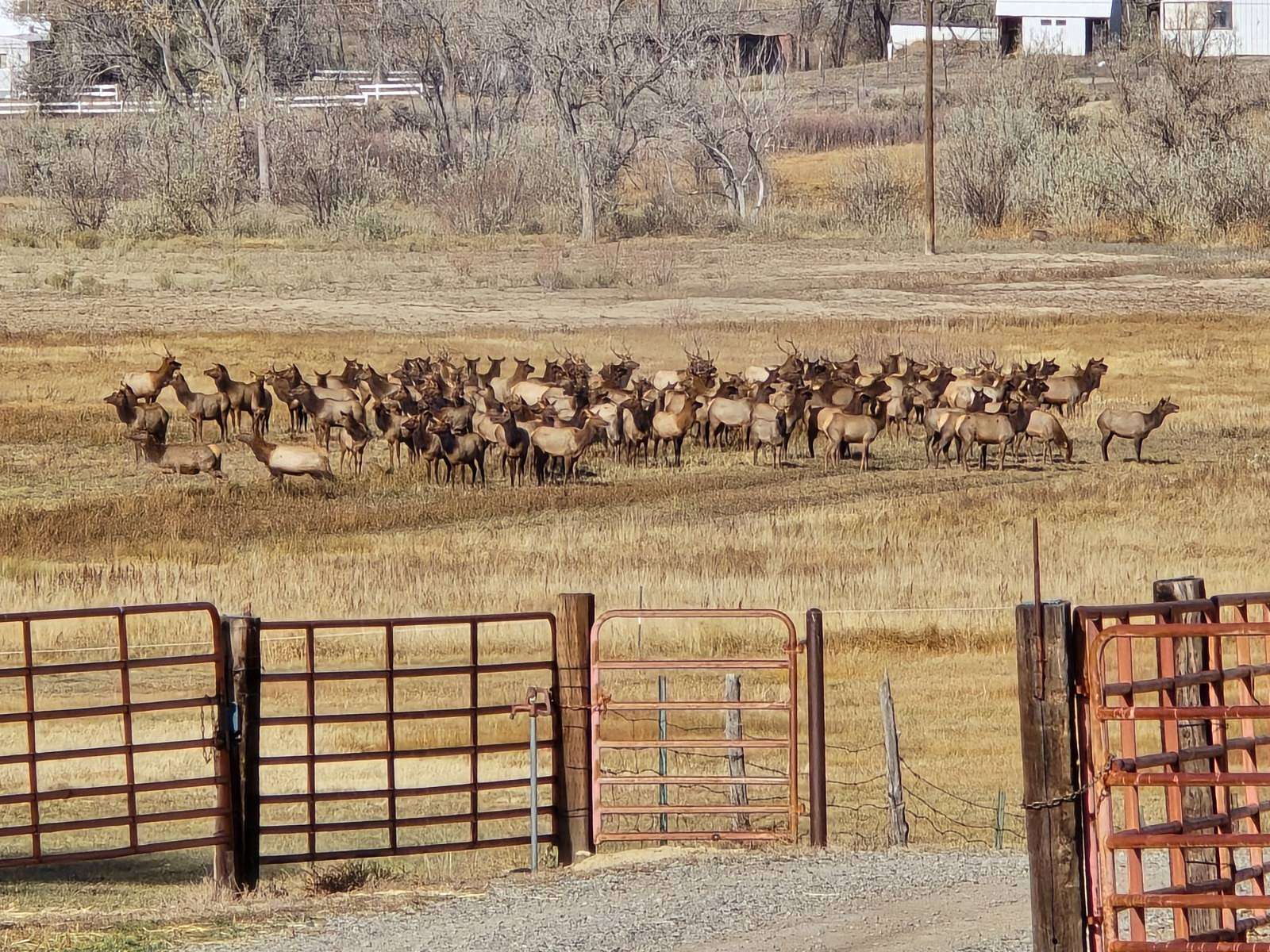 278 Acres of Land with Home for Sale in Paonia, Colorado