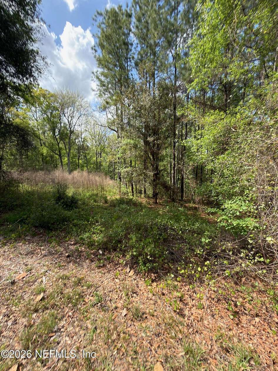 3.26 Acres of Residential Land for Sale in Middleburg, Florida