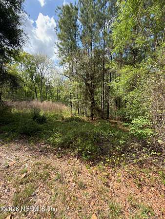 3.26 Acres of Residential Land for Sale in Middleburg, Florida