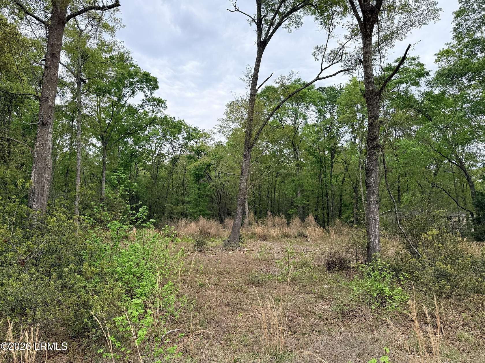 2.88 Acres of Residential Land for Sale in Ridgeland, South Carolina