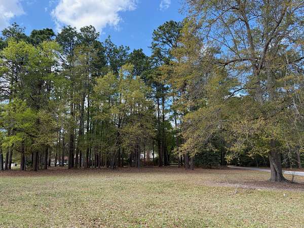 1 Acre of Residential Land for Sale in Walterboro, South Carolina