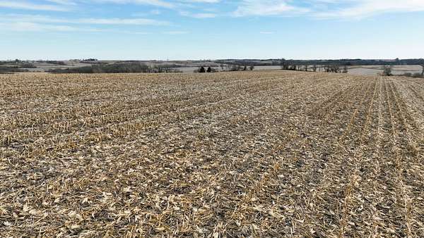 158 Acres of Land for Sale in Cumberland, Iowa