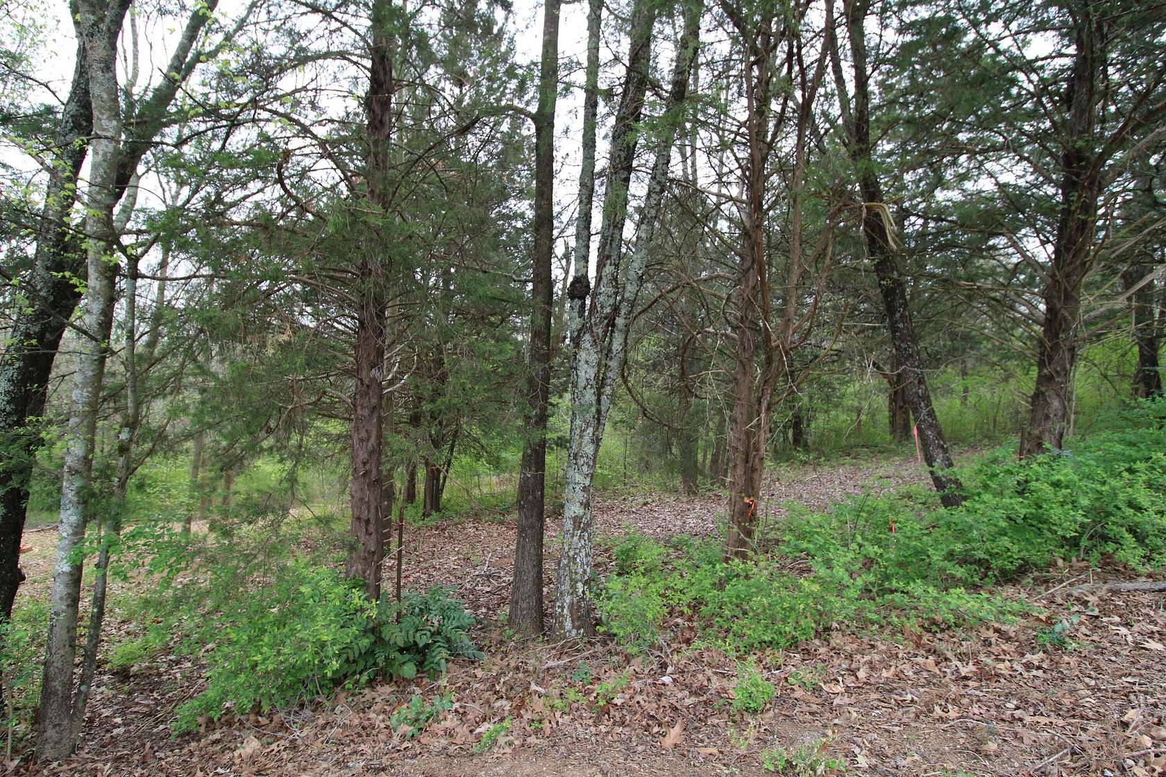 0.37 Acres of Residential Land for Sale in Hixson, Tennessee