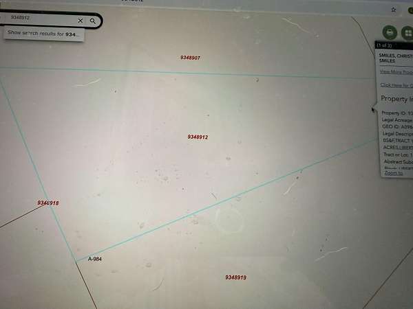 20 Acres of Land for Sale in Eldorado, Texas