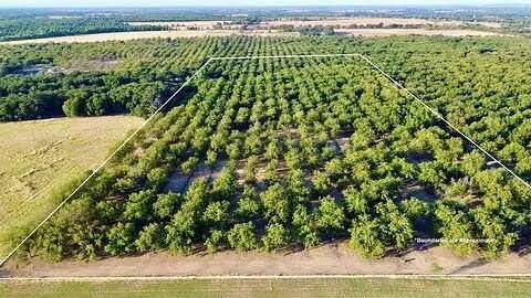 18 Acres of Agricultural Land for Sale in De Leon, Texas