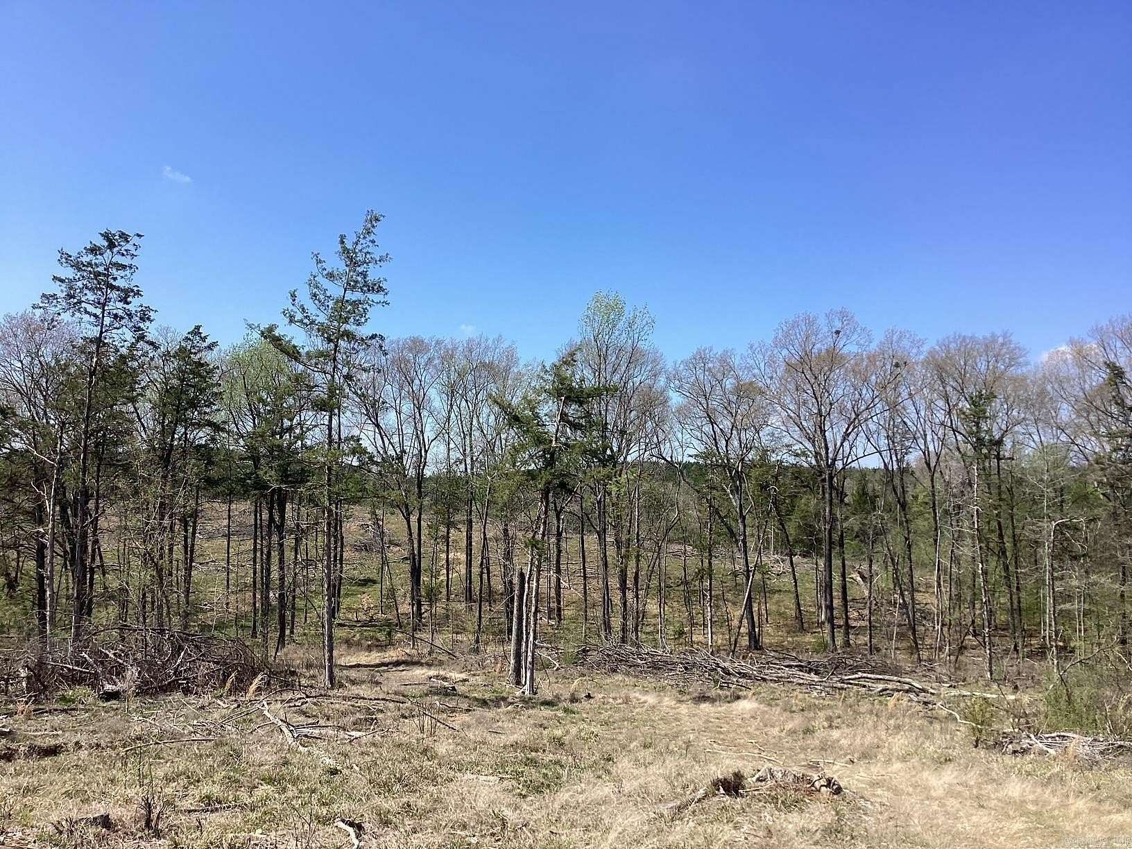 45 Acres of Recreational & Residential Land for Sale in Gurdon, Arkansas