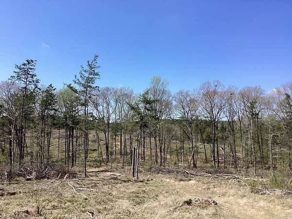 45 Acres of Recreational & Residential Land for Sale in Gurdon, Arkansas