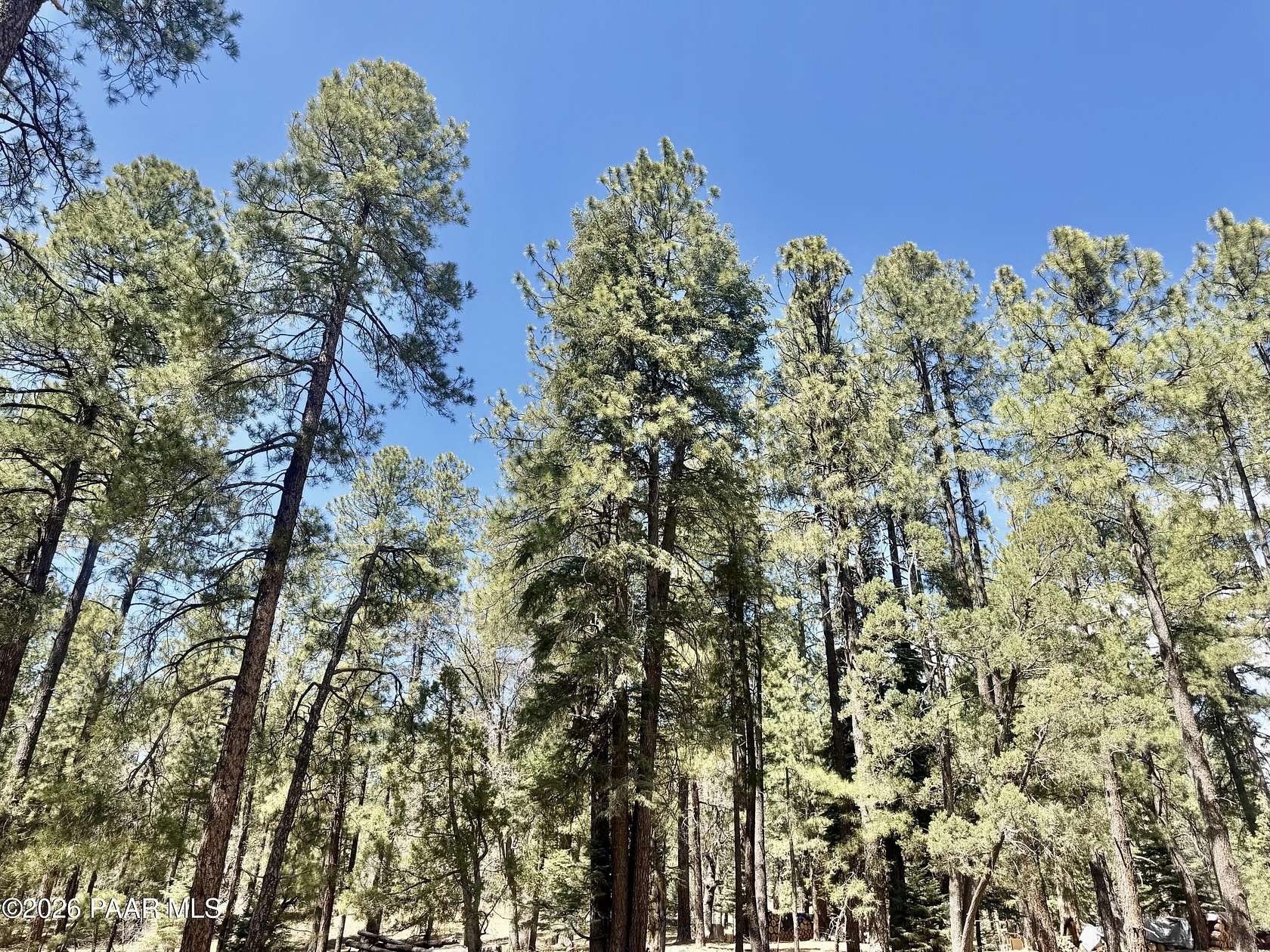 2 Acres of Residential Land for Sale in Prescott, Arizona
