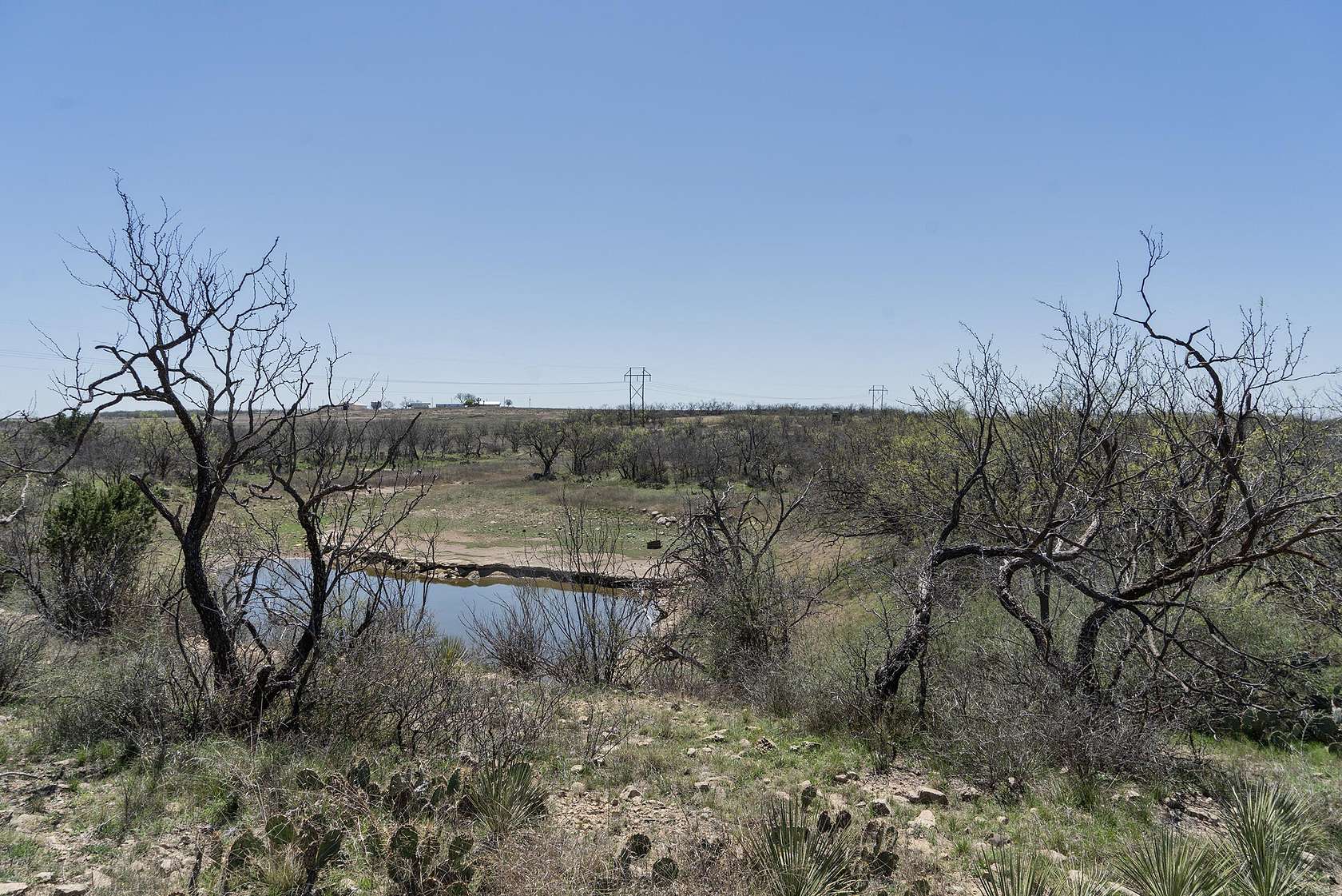 Land for Sale in Ballinger, Texas
