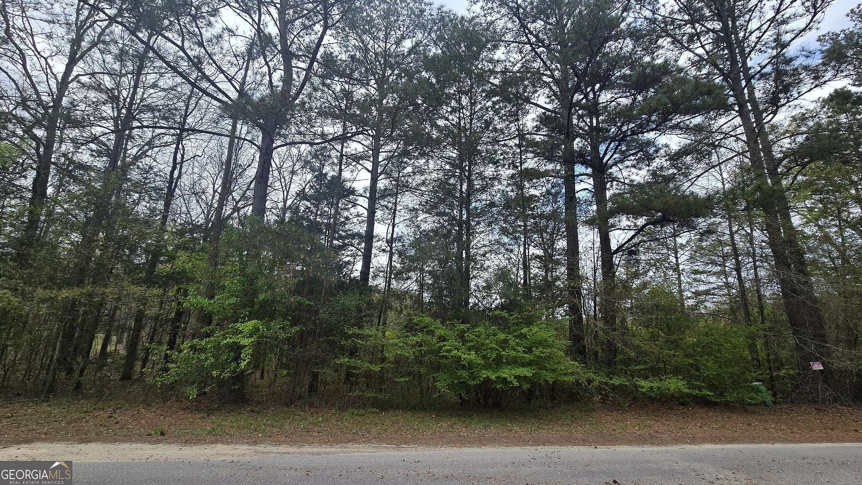 6.34 Acres of Residential Land for Sale in Franklin, Georgia