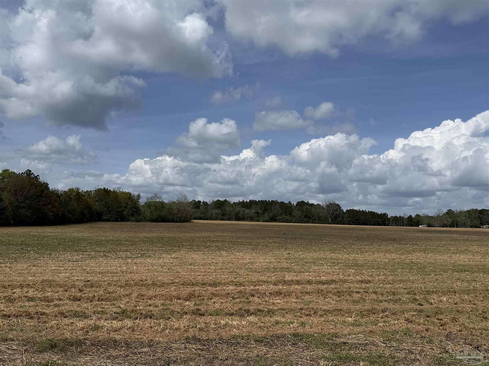 40 Acres of Land for Sale in Baker, Florida