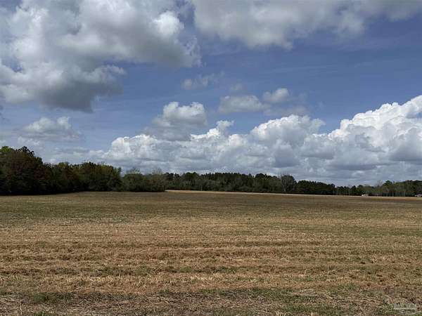 40 Acres of Land for Sale in Baker, Florida