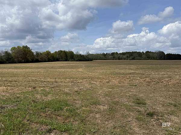 40 Acres of Land for Sale in Jay, Florida