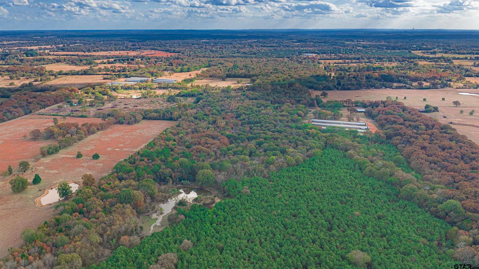 133 Acres of Recreational Land for Sale in Omaha, Texas