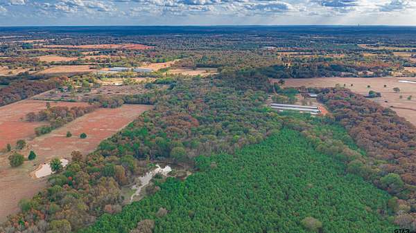 133 Acres of Recreational Land for Sale in Omaha, Texas
